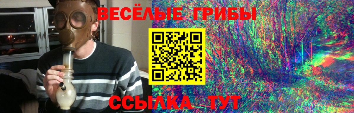 Галлюциногенные грибы GOLDEN TEACHER  Вход с VPN  как найти наркотики  Карачаевск  Псилоцибиновые грибы Magic Shrooms 